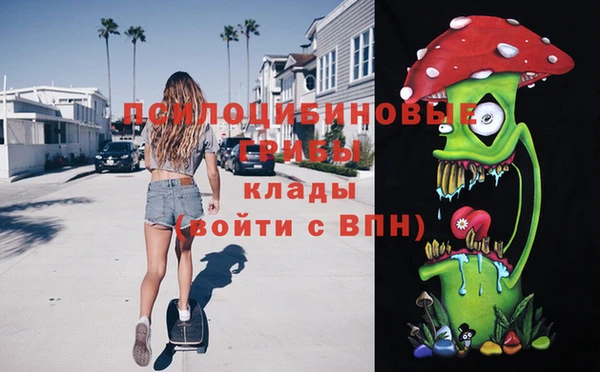 apvp Пересвет