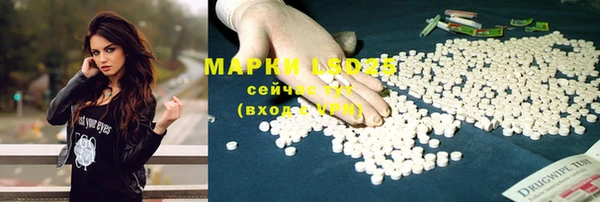 apvp Пересвет